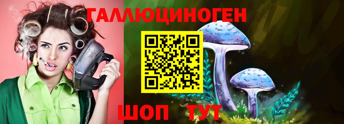Псилоцибиновые грибы Psilocybe Каменка