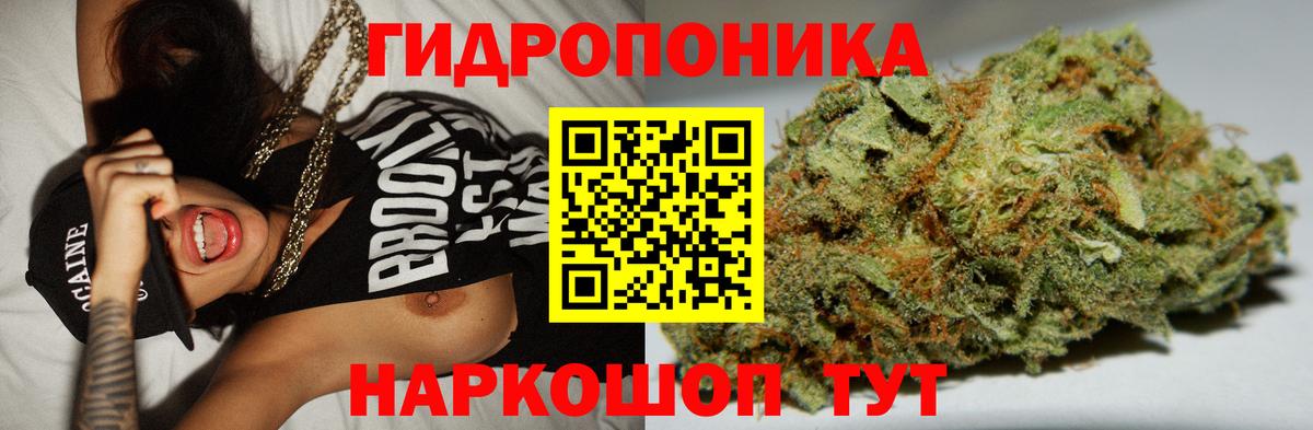 МАРИХУАНА Ganja  Шишки марихуана планчик  Каменка  Бошки марихуана индика  Вход с VPN 